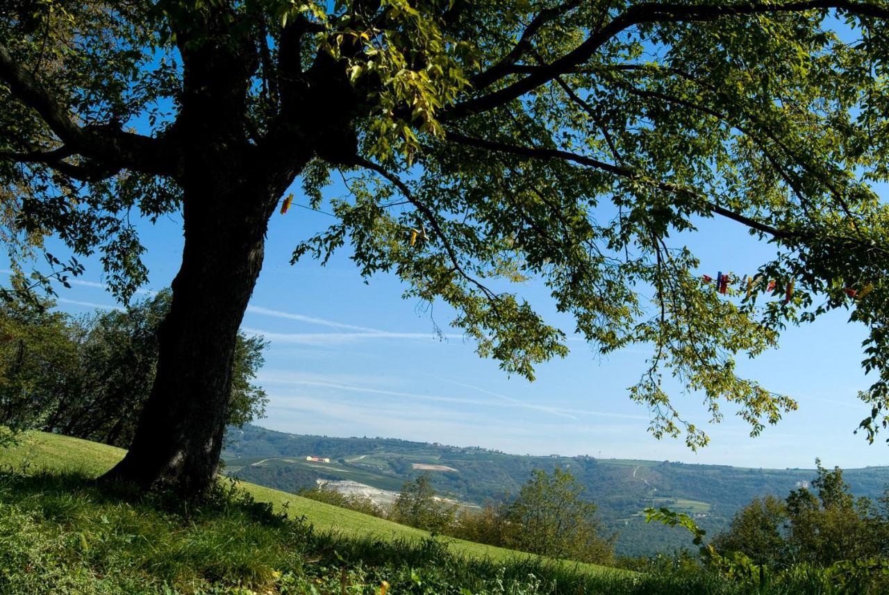 Alloggio per agriturismo Tenuta Delo Relais