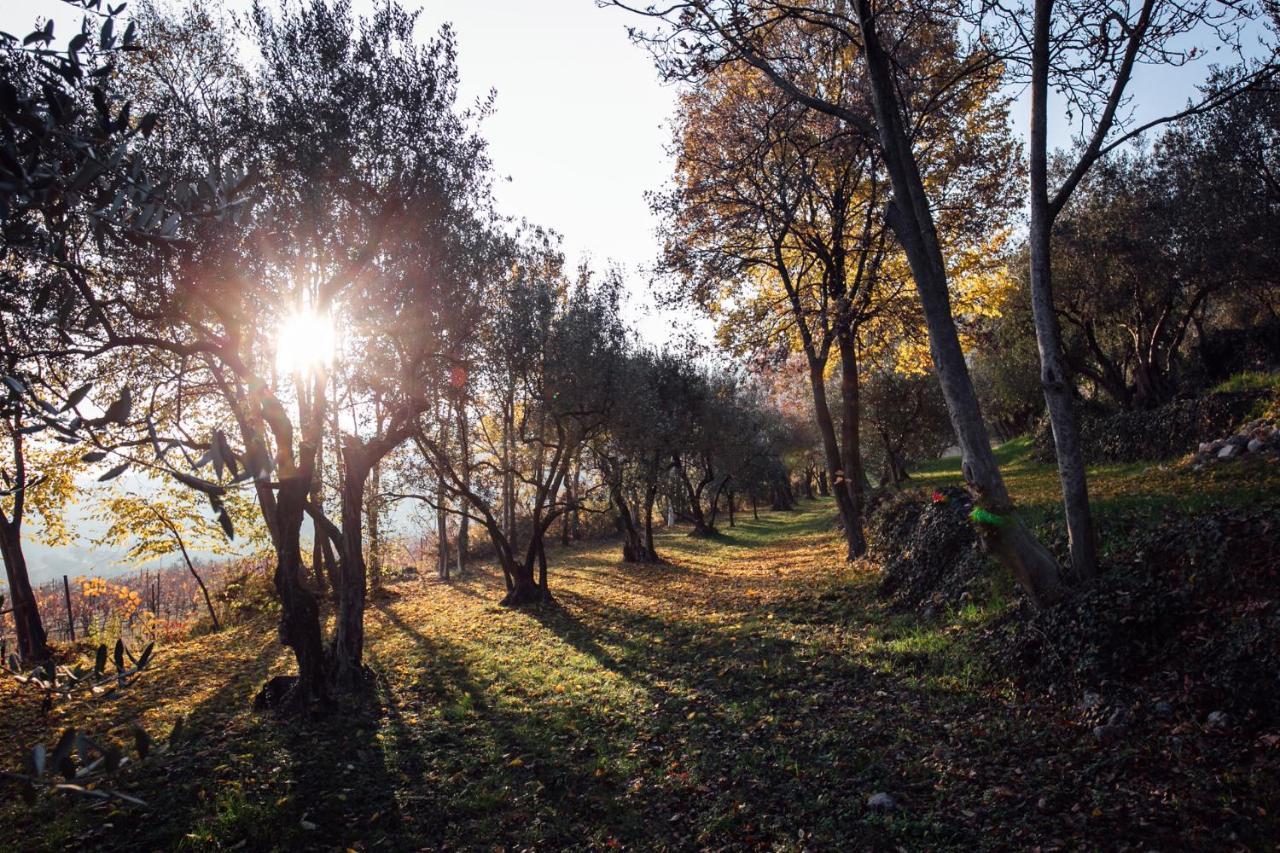 Tenuta Delo Relais Alloggio per agriturismo *